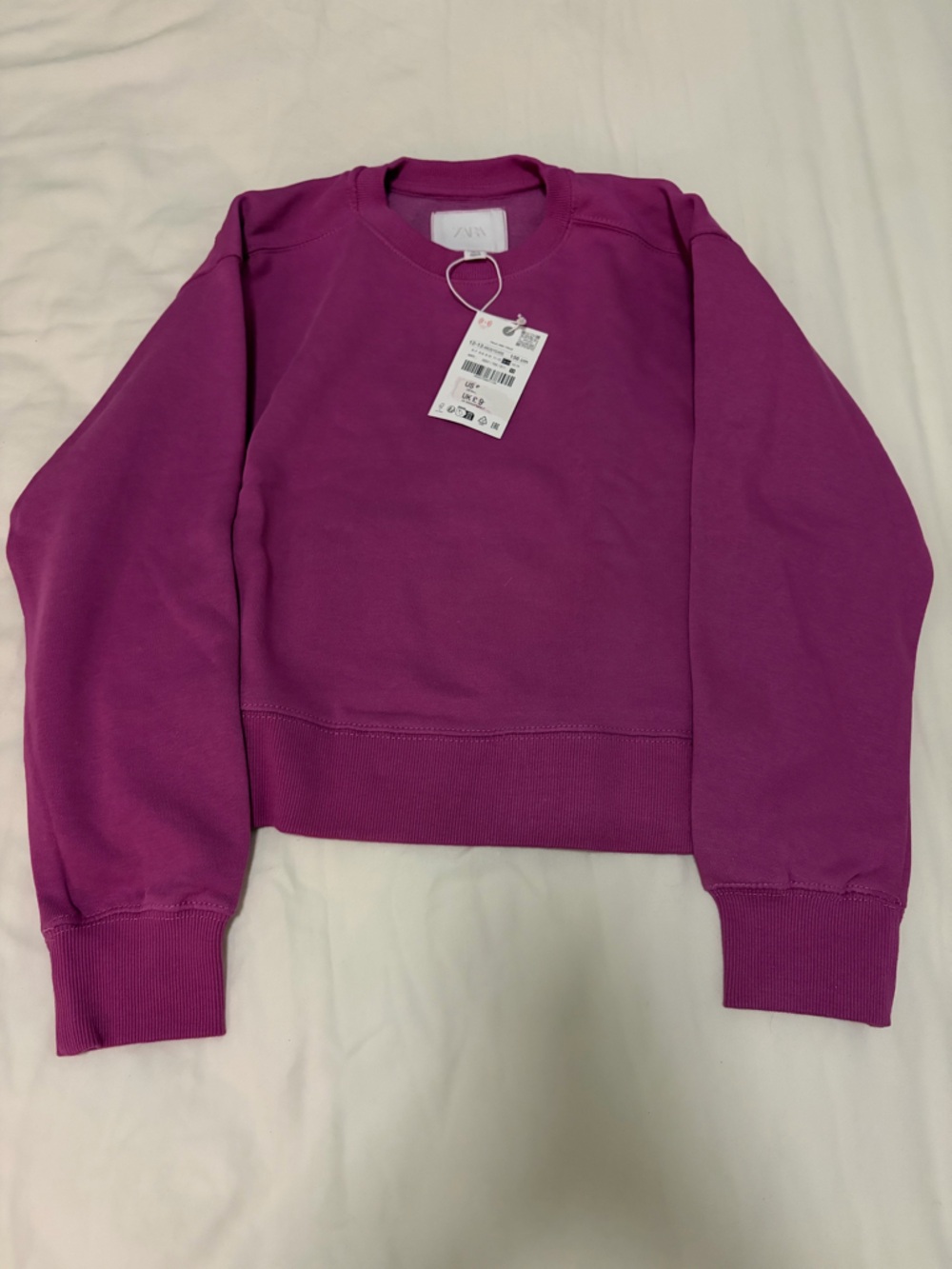 Zara Raspberry Crewneck Sweatshirt